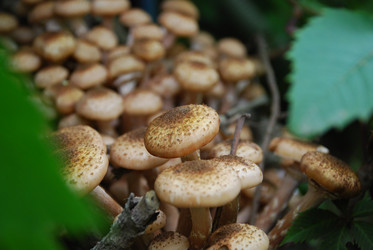 Similar image 21639119