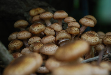 Similar image 21639121