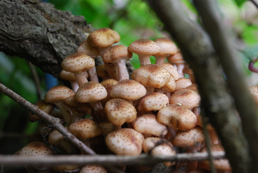 Similar image 21639123