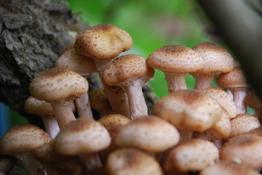 Similar image 21639125