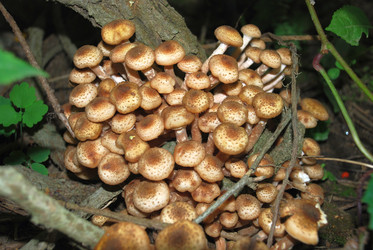 Similar image 21639127