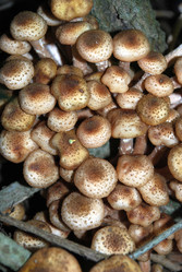 Similar image 21639131