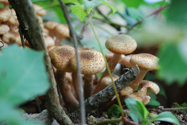 Similar image 21639134