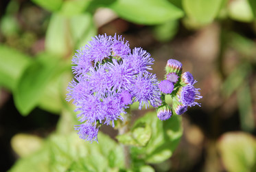 Similar image 21639135