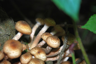 Similar image 21639136