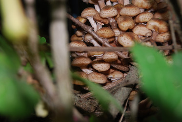 Similar image 21639138