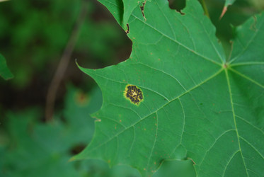 Similar image 21639139