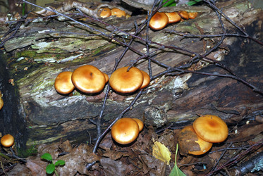 Similar image 21639140