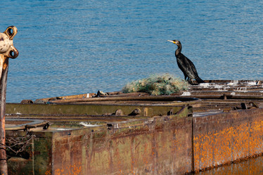 Similar image 21638678