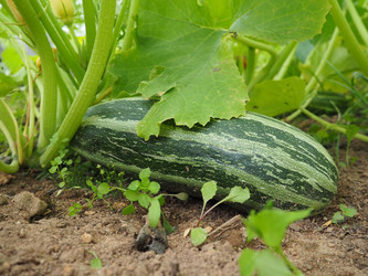 Similar image 21638681