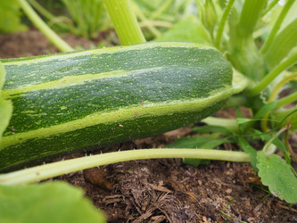 Similar image 21638682