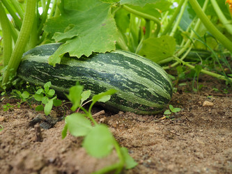 Similar image 21638684