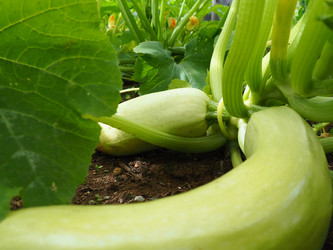 Similar image 21638686