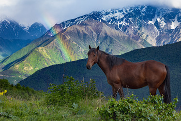 Similar image 21640004