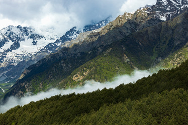 Similar image 21640028