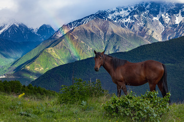 Similar image 21640040