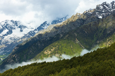 Similar image 21640042