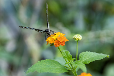 Similar image 21639142