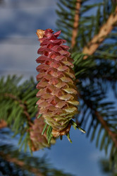 Similar image 21640044