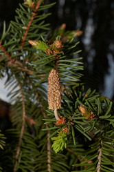 Similar image 21638695