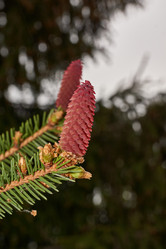 Similar image 21640050