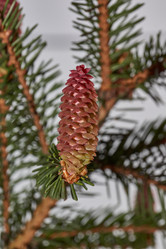 Similar image 21640198