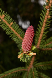 Similar image 21640199