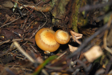 Similar image 21639155