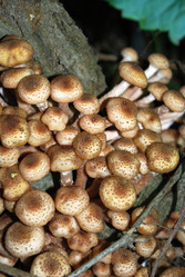 Similar image 21639157