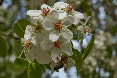 Similar image 21638700