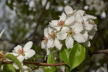 Similar image 21638701