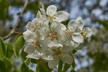 Similar image 21639158