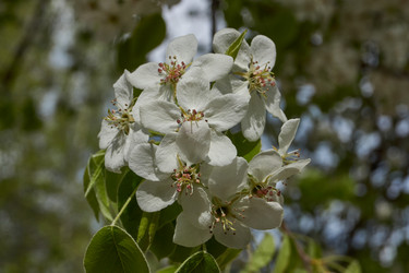 Similar image 21640201