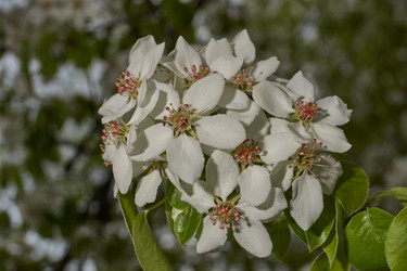 Similar image 21640203