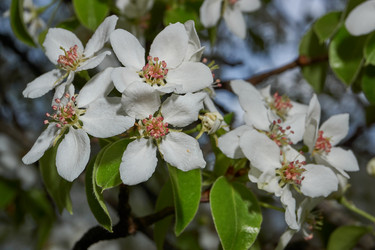 Similar image 21640204