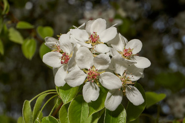 Similar image 21640205