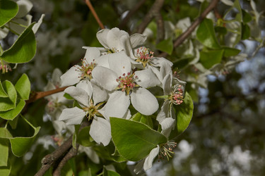 Similar image 21640206