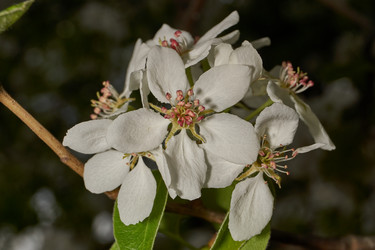 Similar image 21640209