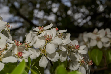 Similar image 21639160