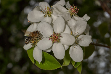 Similar image 21638702