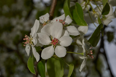 Similar image 21640212