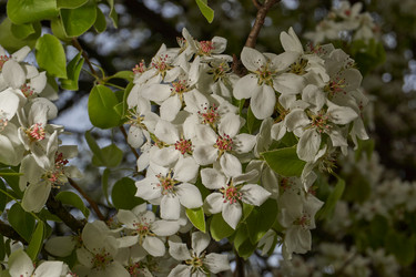 Similar image 21640213