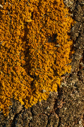 Similar image 21638705