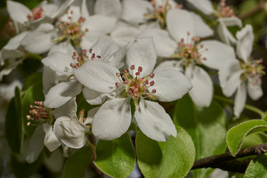 Similar image 21640051