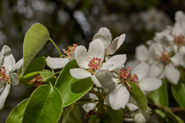 Similar image 21640052