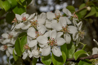 Similar image 21640053