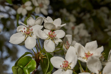 Similar image 21640054