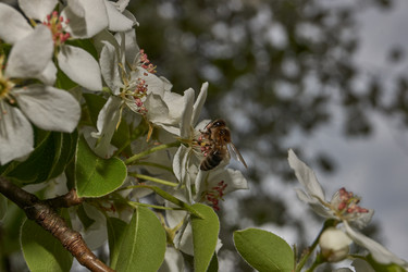 Similar image 21640055