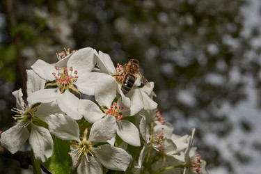 Similar image 21640056