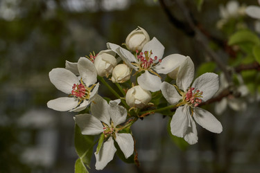 Similar image 21640057